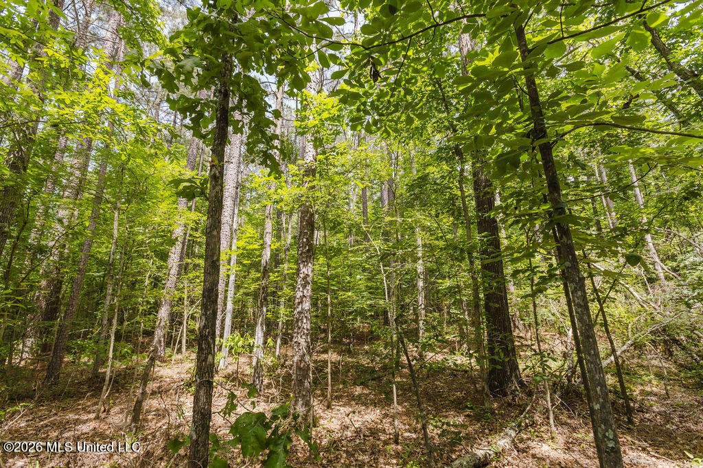 0 Highway 25 Brandon Ms 39042 Brandon, MS 39047 - Photo 10 of 10 watsonphotography250515143358