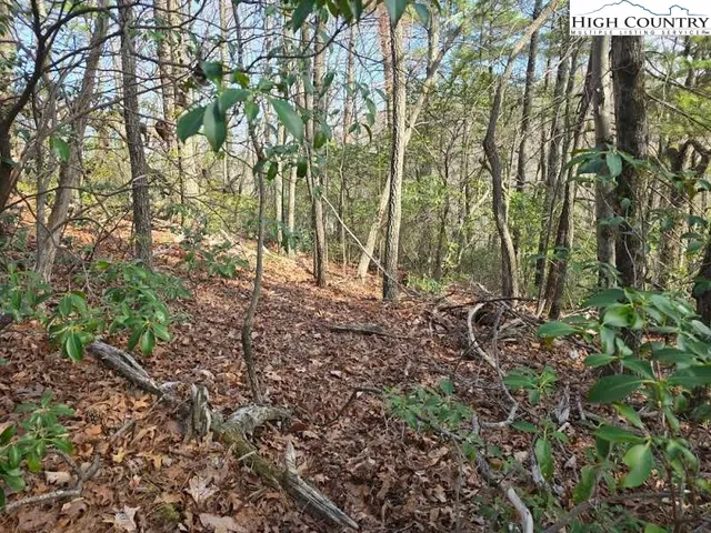 a view of outdoor space and a yard