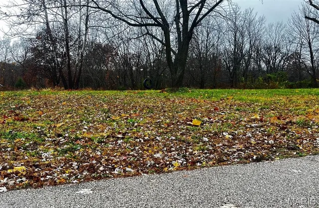 $19,900 | 209 Victor Street, Bland, MO 65014