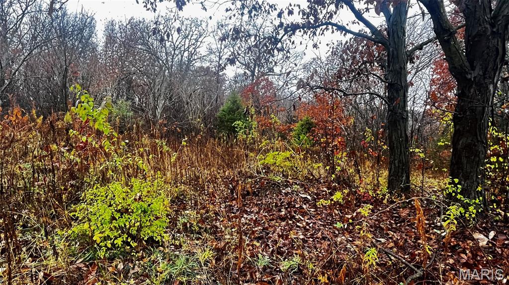 209 Victor Street Bland, MO 65014 - Photo 4 of 6