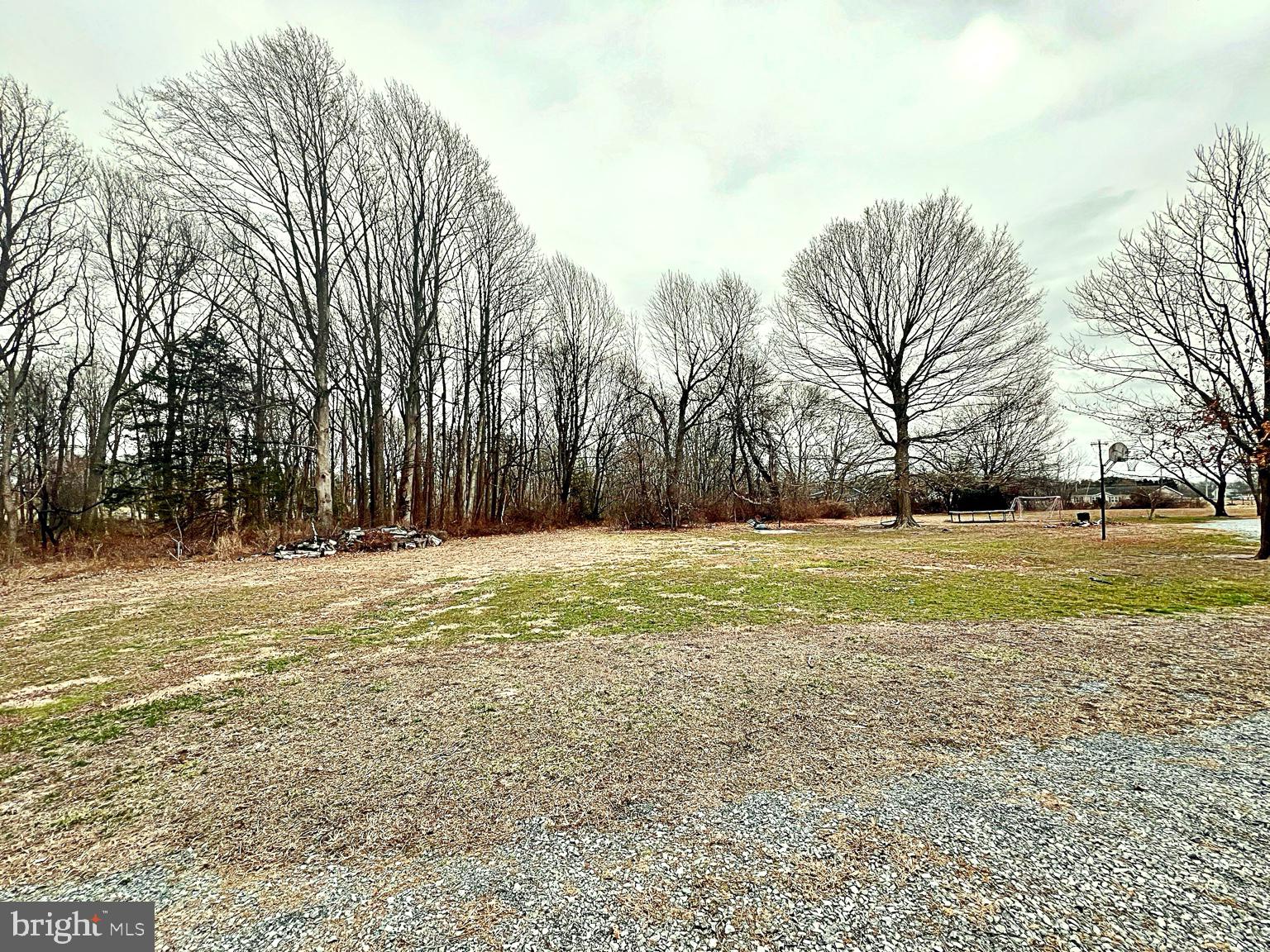 4433 Firetower Road Felton, DE 19943 - Photo 46 of 53 Gallery Image 46