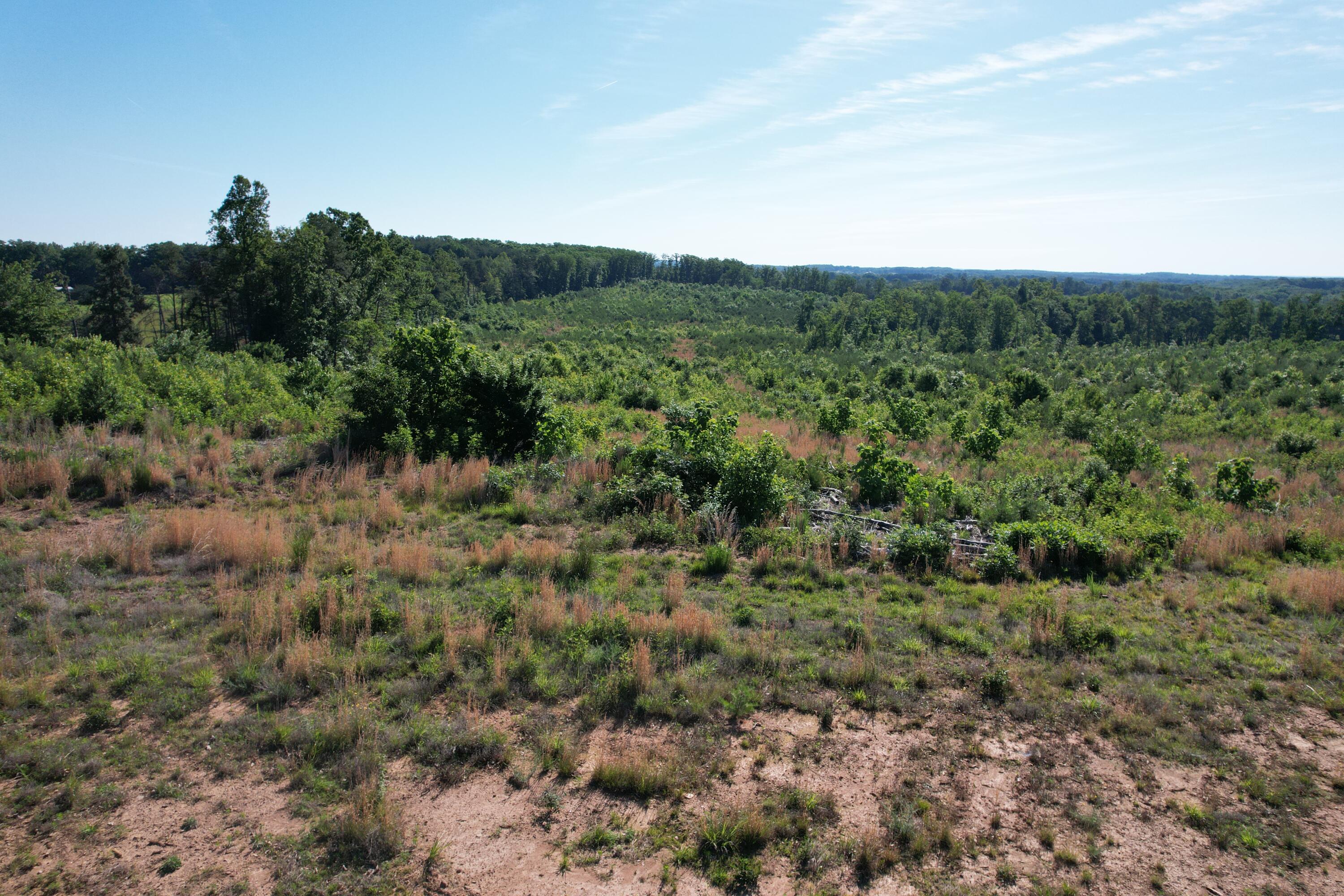 0 Georges Creek Road Gretna, VA 24557 - Photo 13 of 18 DJI_0530