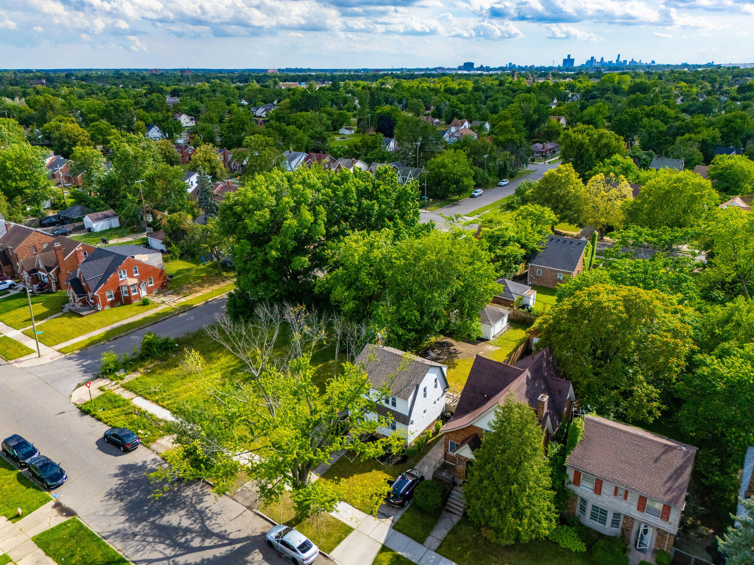 4619 Balfour Road Detroit, MI 48224 - Photo 46 of 51 46_drone-6