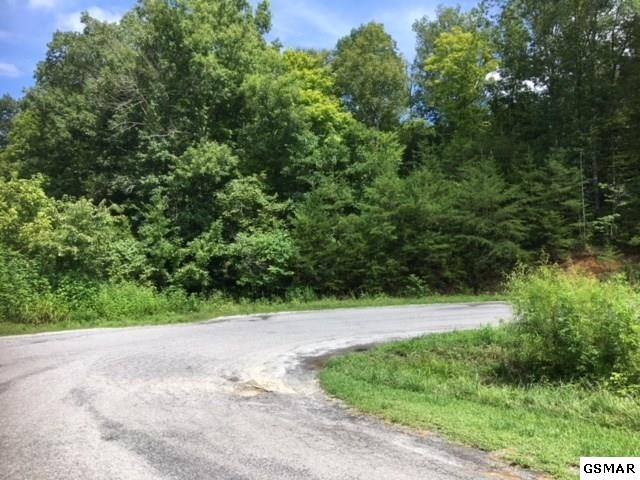 17 Buck Horn Road Sevierville, TN 37876 - Photo 2 of 7