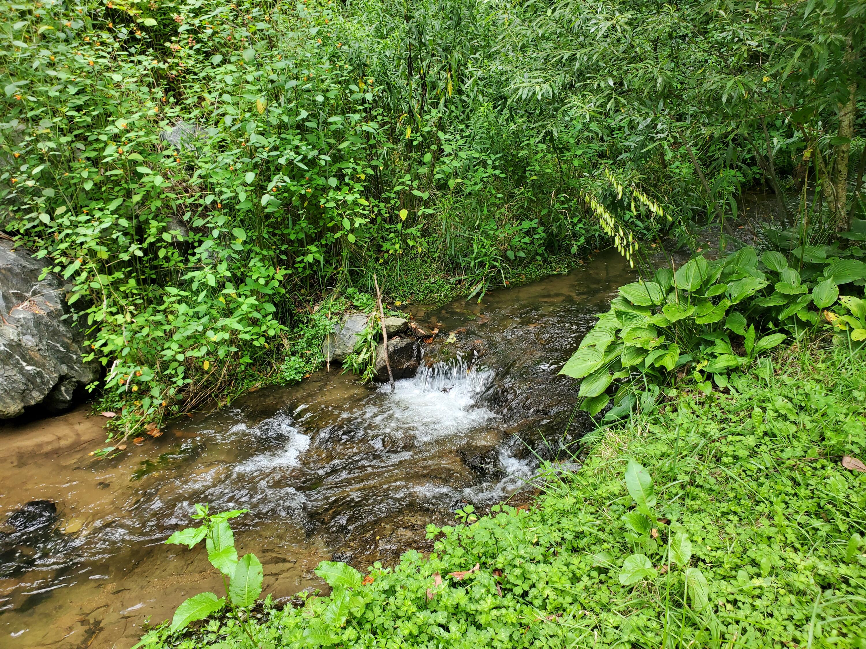 1571 Vale Road Newland, NC 28657 - Photo 2 of 61 20230811_163412