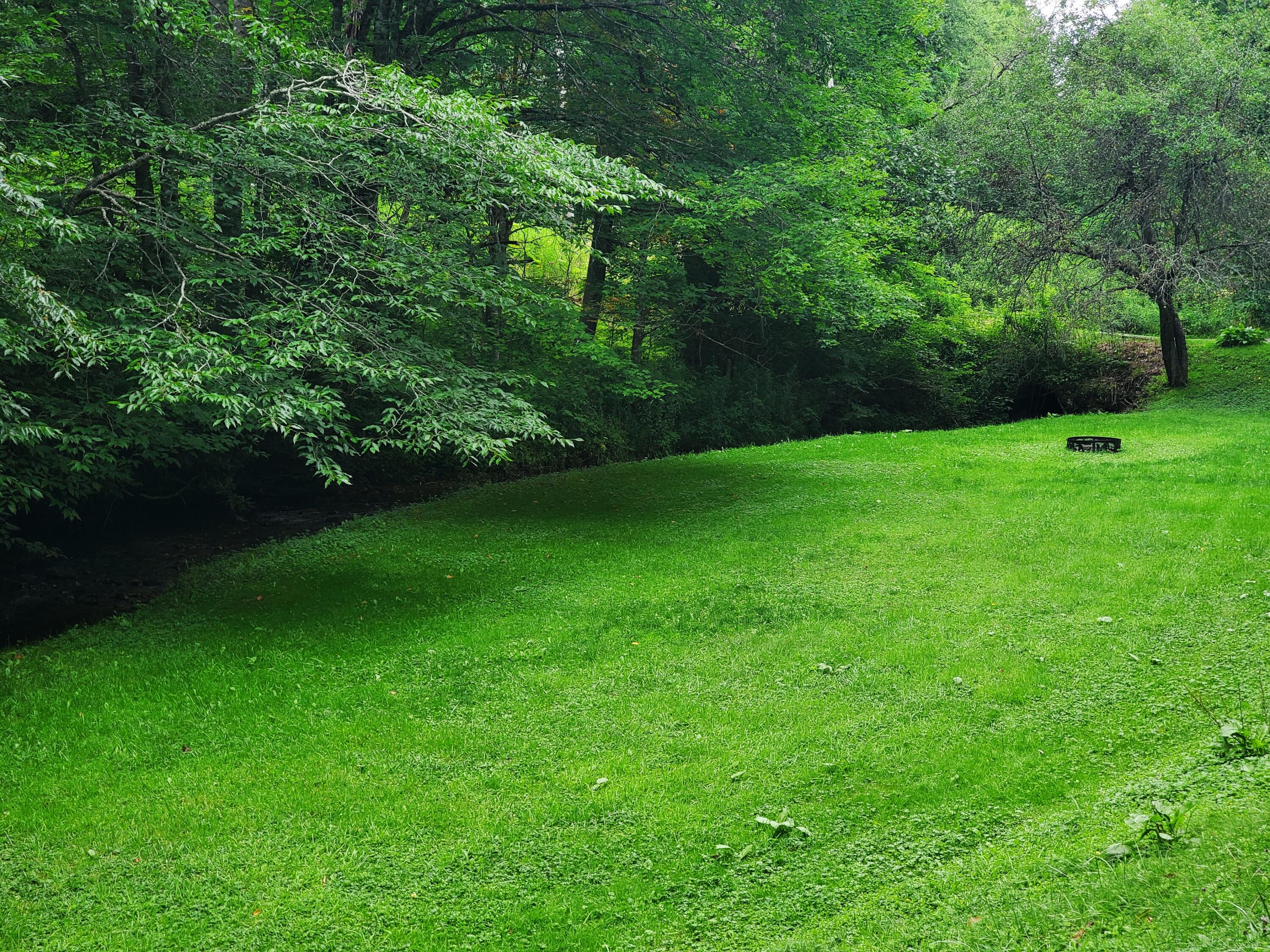 1571 Vale Road Newland, NC 28657 - Photo 36 of 61 20230811_163513