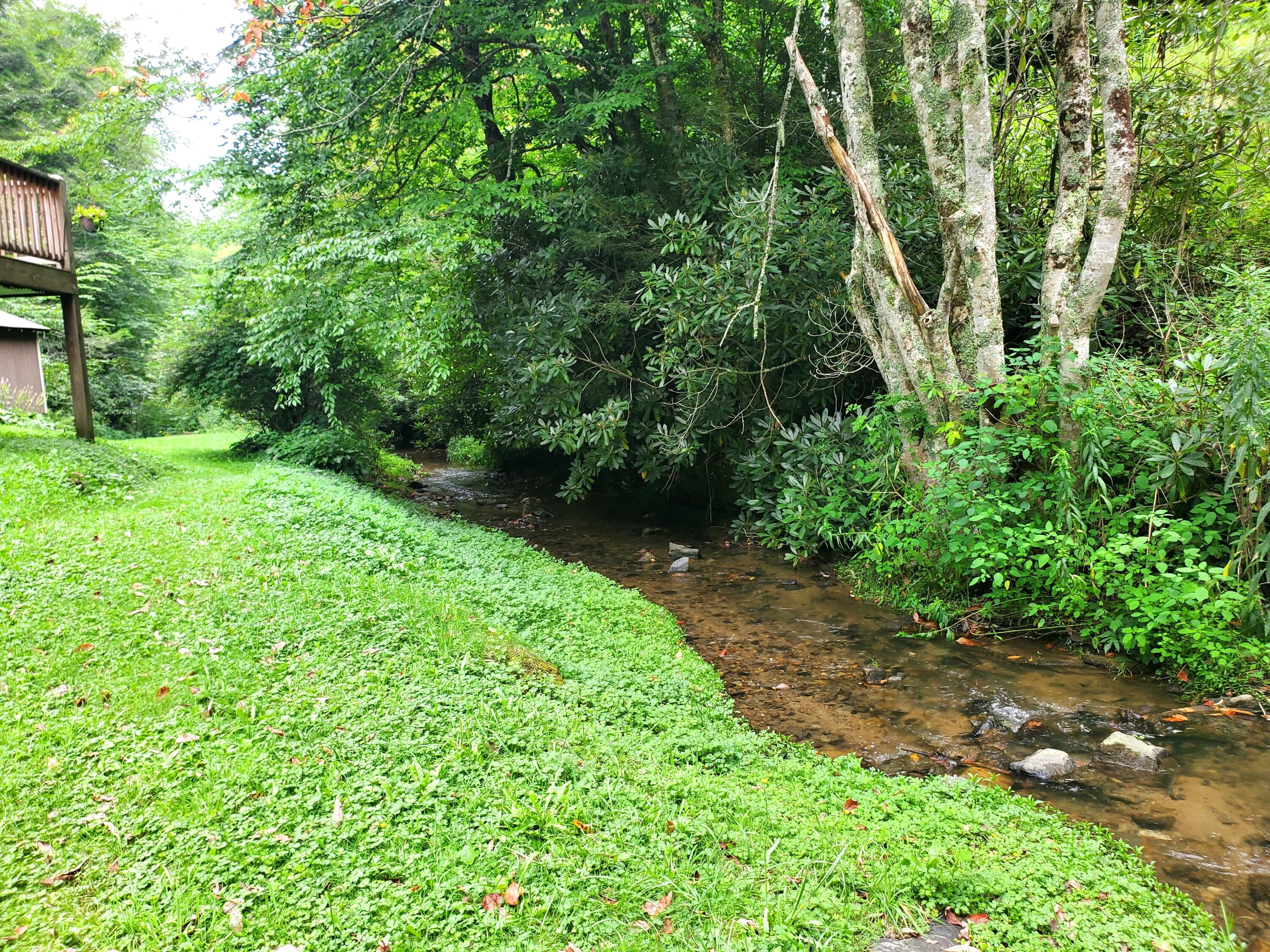 1571 Vale Road Newland, NC 28657 - Photo 37 of 61 20230811_163437