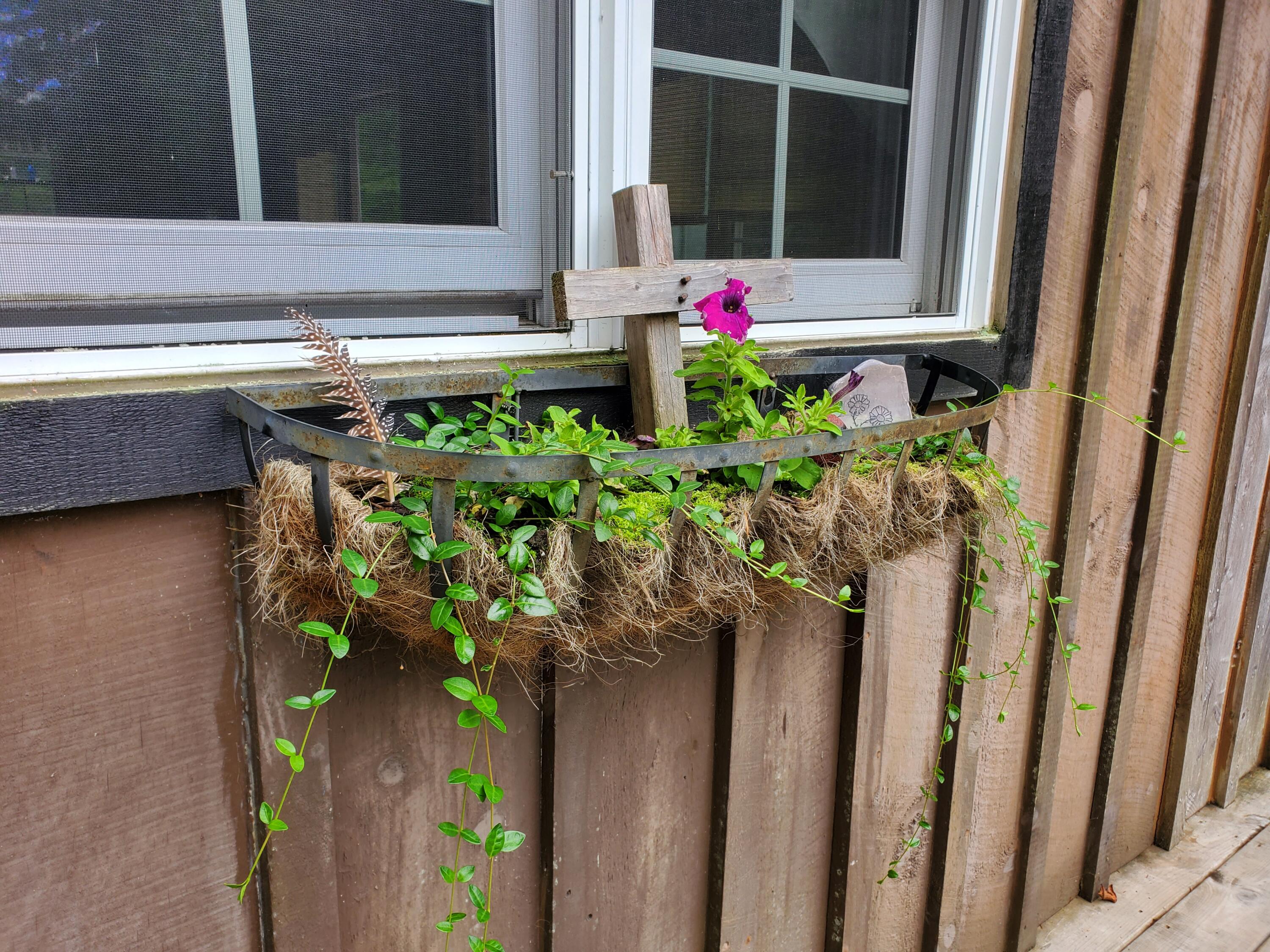 1571 Vale Road Newland, NC 28657 - Photo 4 of 61 20230811_163727