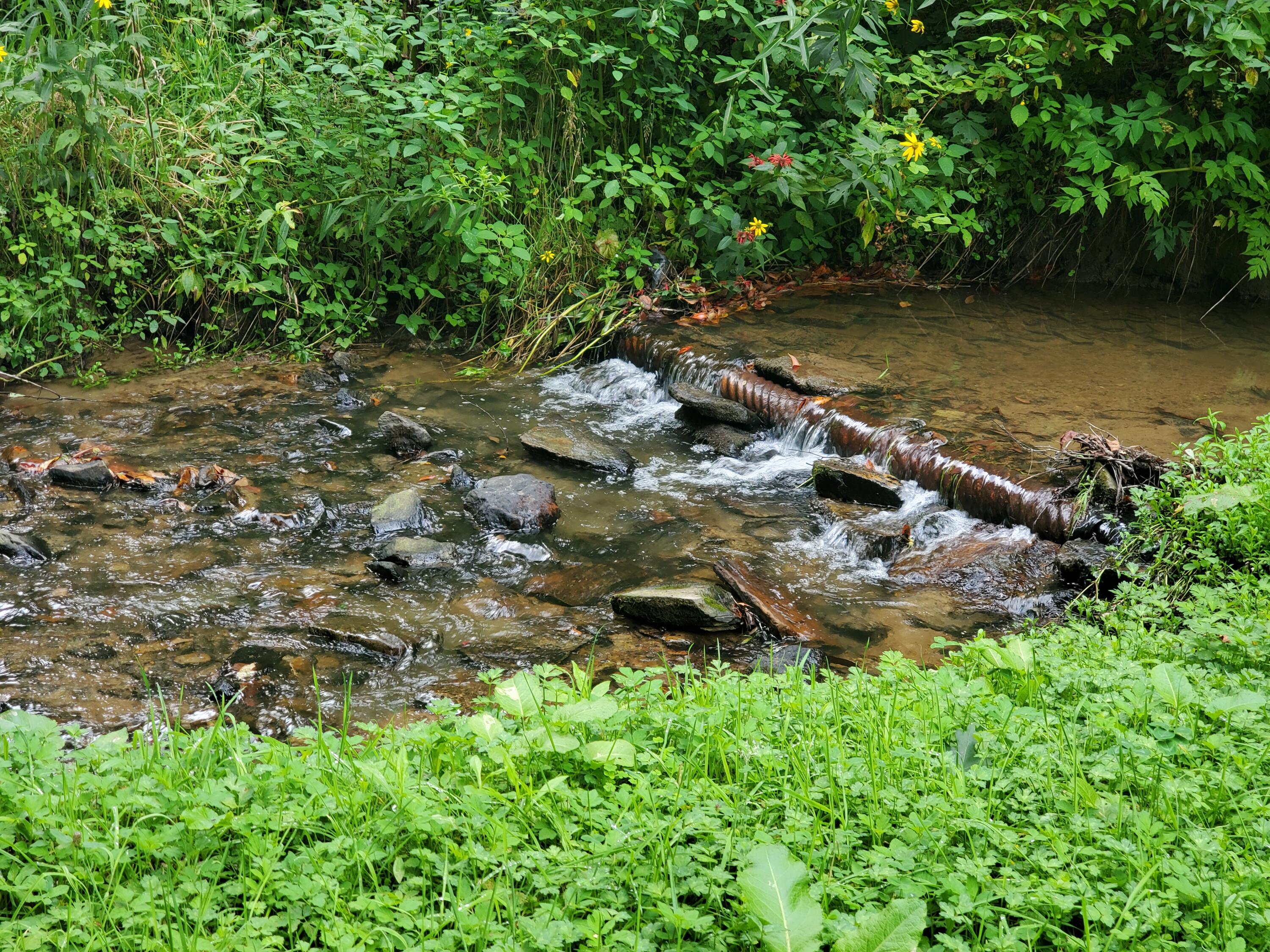 1571 Vale Road Newland, NC 28657 - Photo 42 of 61 20230811_163202