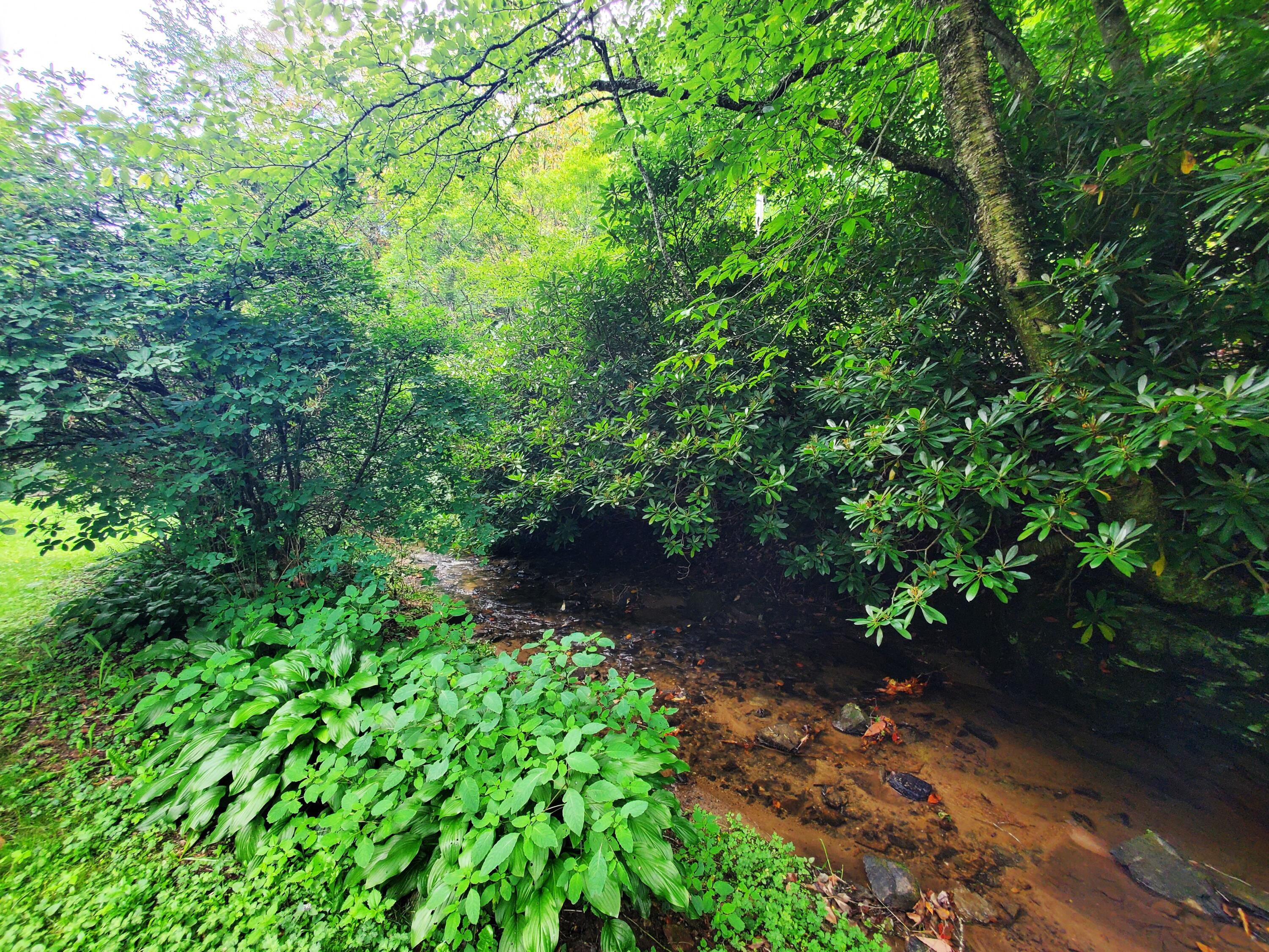 1571 Vale Road Newland, NC 28657 - Photo 43 of 61 20230811_163304