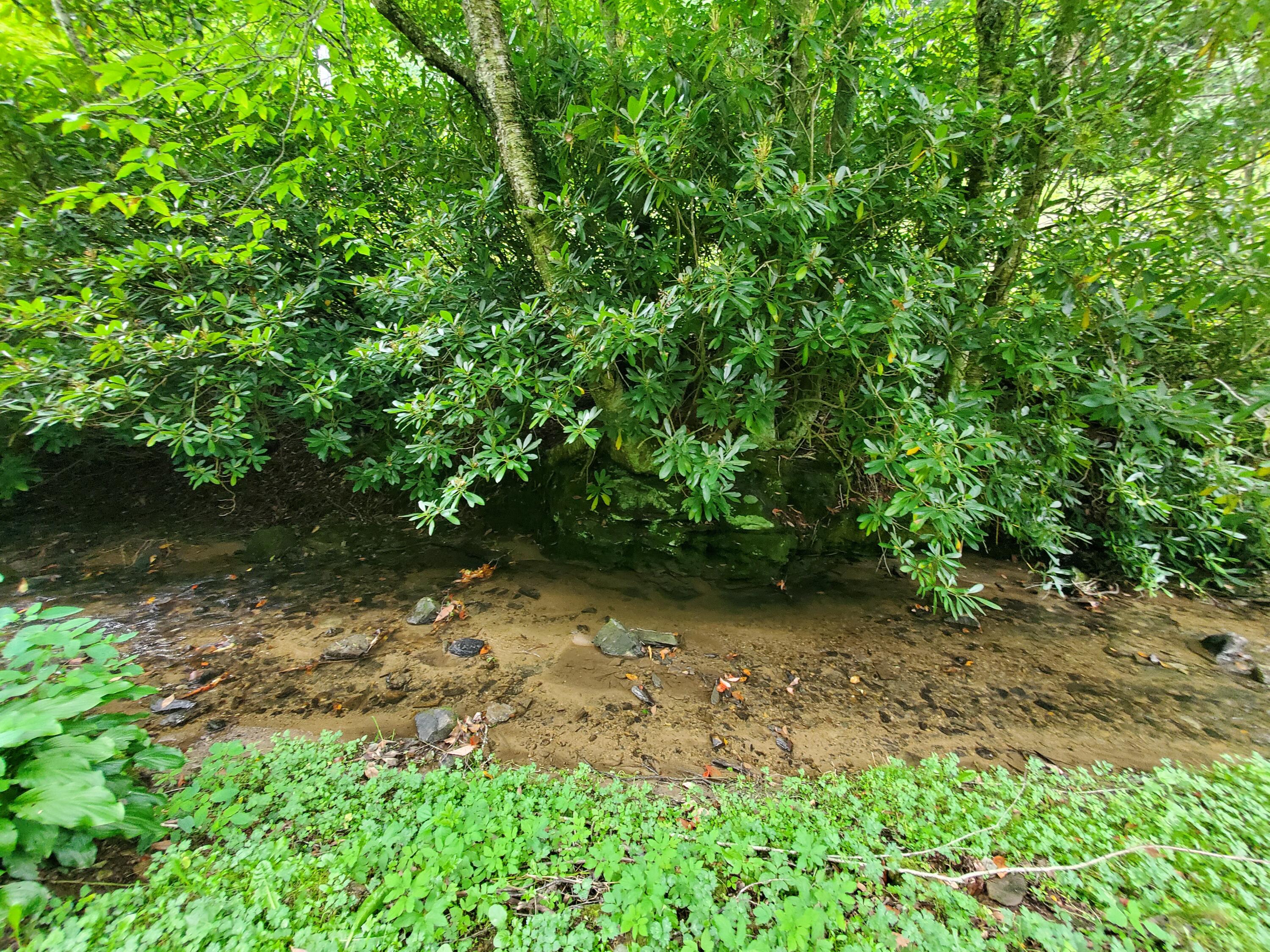 1571 Vale Road Newland, NC 28657 - Photo 44 of 61 20230811_163258