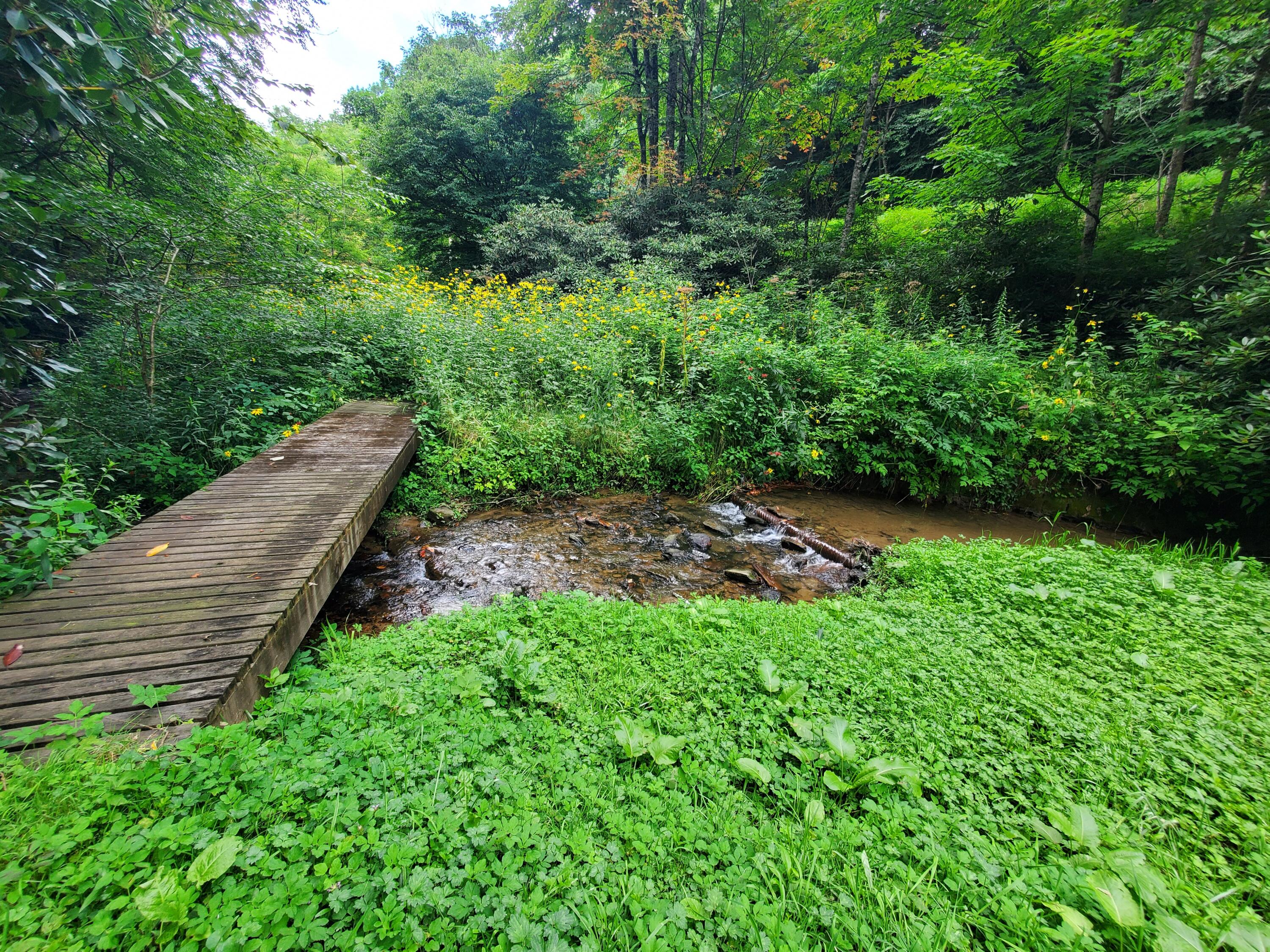 1571 Vale Road Newland, NC 28657 - Photo 46 of 61 20230811_163214