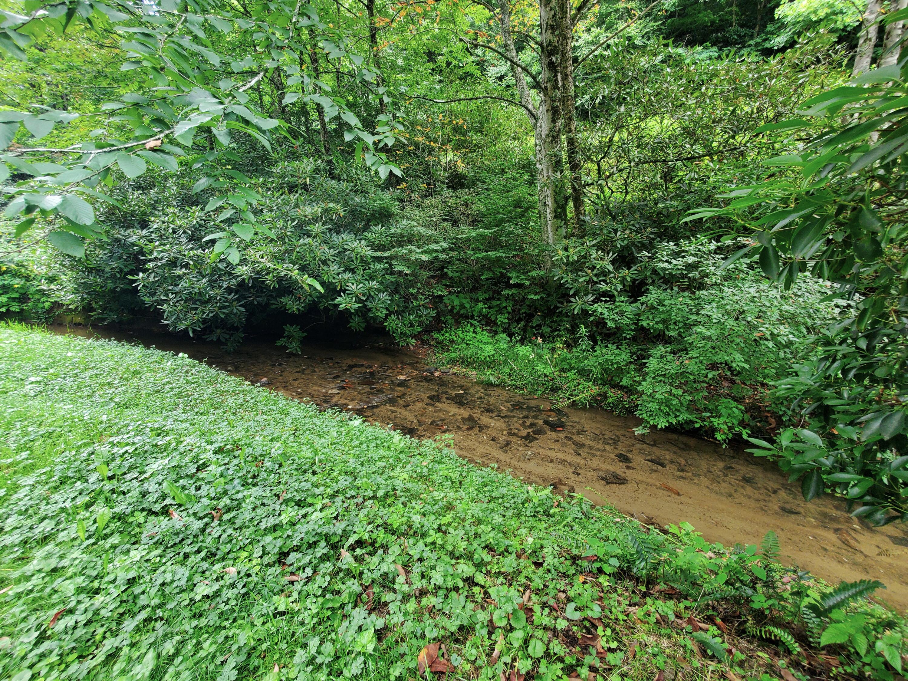 1571 Vale Road Newland, NC 28657 - Photo 47 of 61 20230811_163138