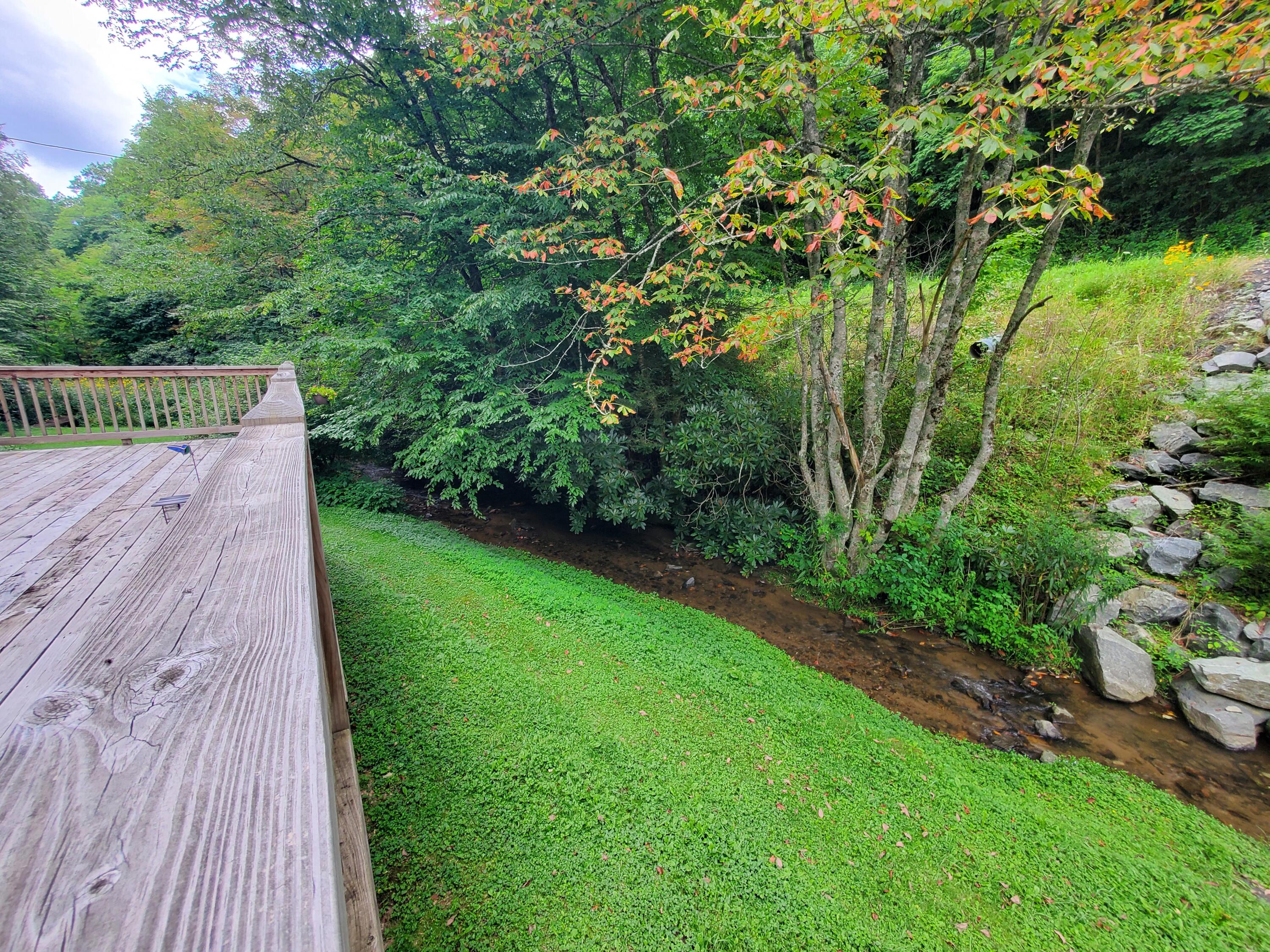 1571 Vale Road Newland, NC 28657 - Photo 5 of 61 20230811_162909