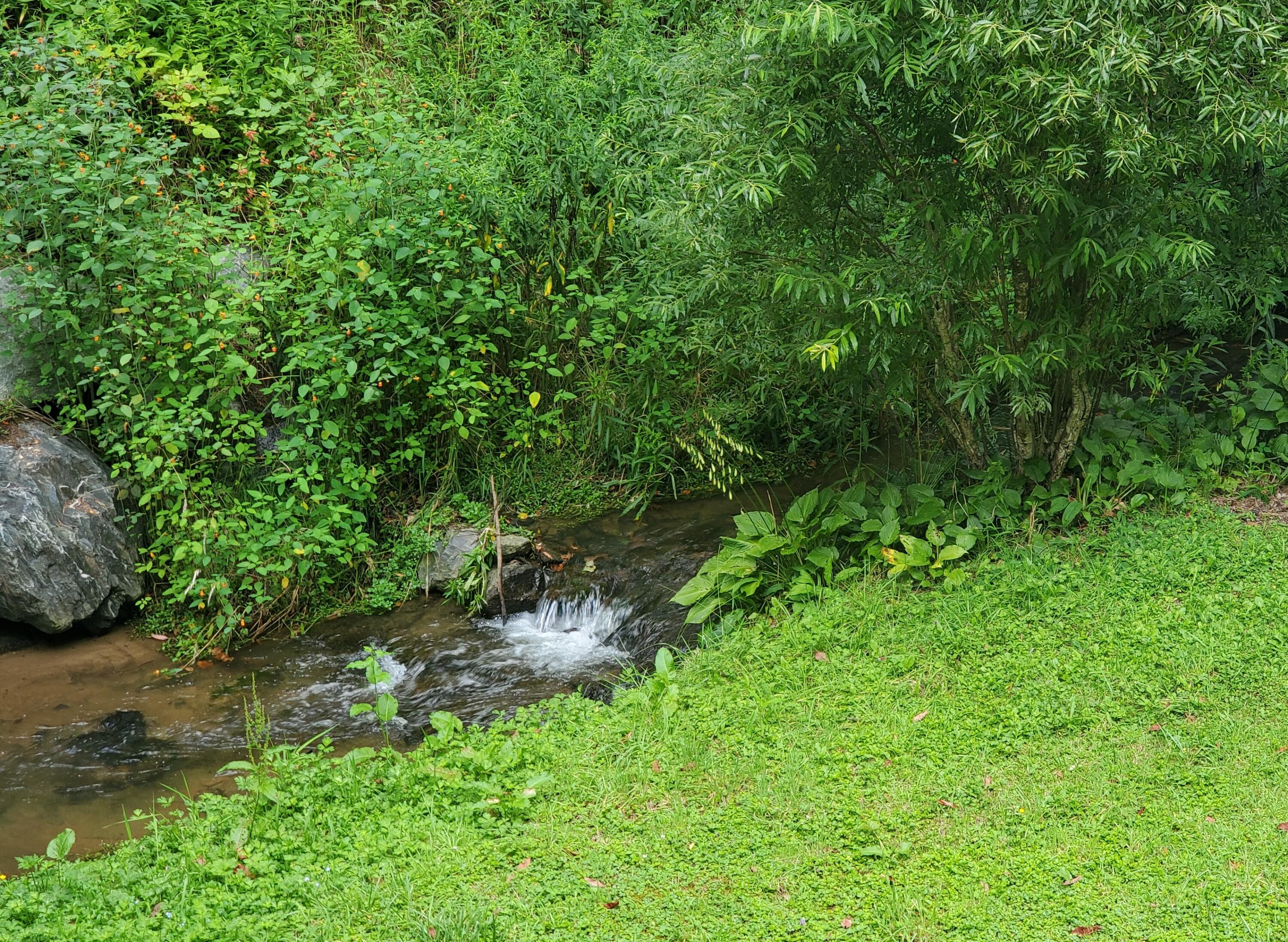 1571 Vale Road Newland, NC 28657 - Photo 53 of 61 20230811_162923