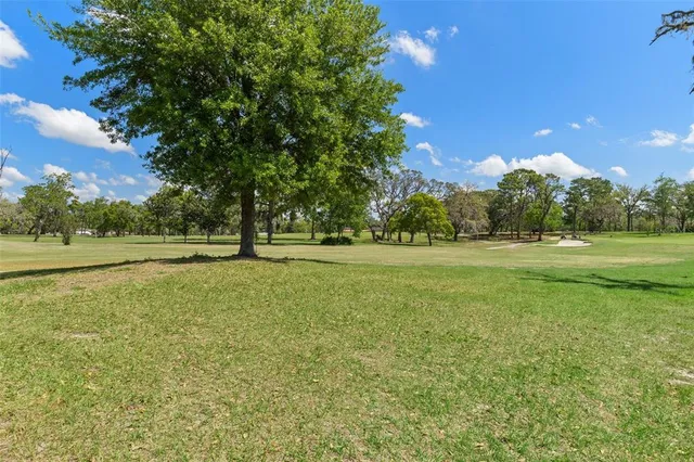 a view of a park with a bench and trees
