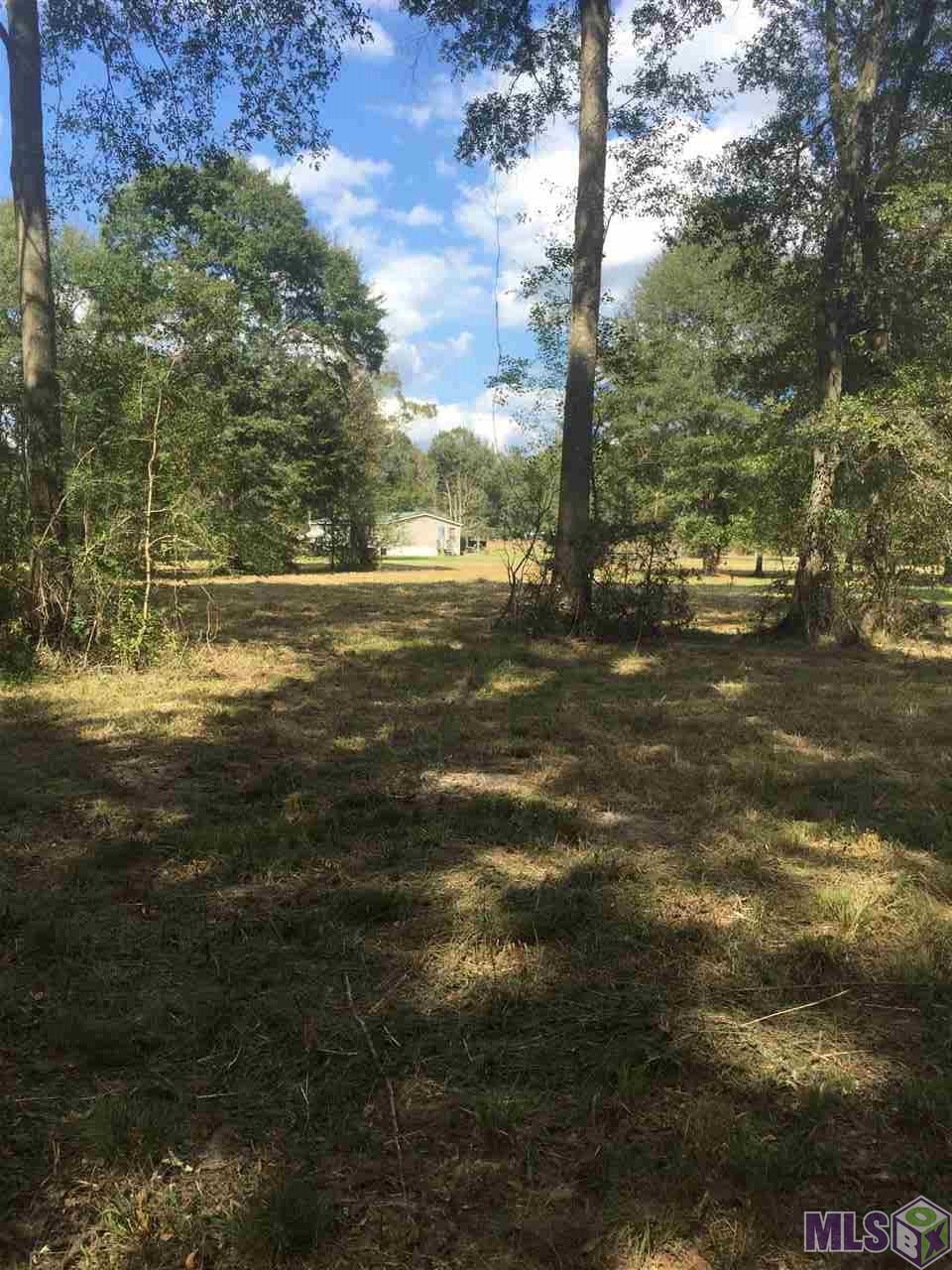 20823 MacHost Road Zachary, LA 70791 - Photo 4 of 7 Gallery Image 4