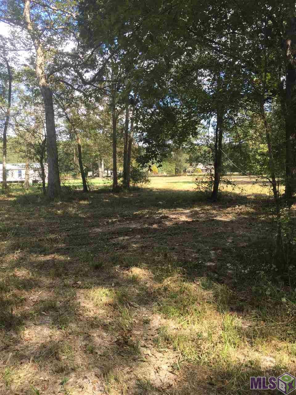 20823 MacHost Road Zachary, LA 70791 - Photo 5 of 7 Gallery Image 5