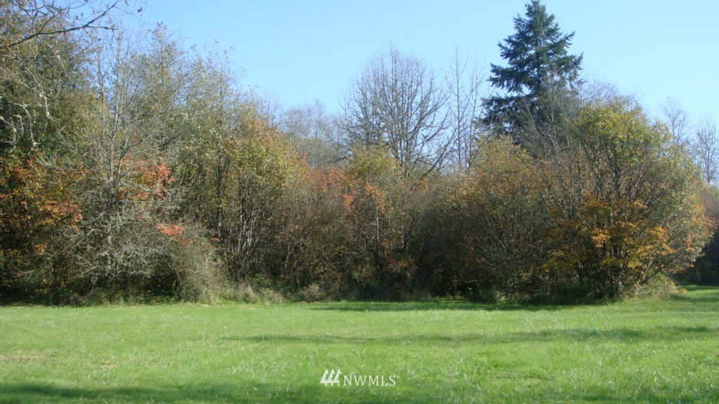 447 View Ridge Road Onalaska, WA 98570 - Photo 4 of 18 Gallery Image 4