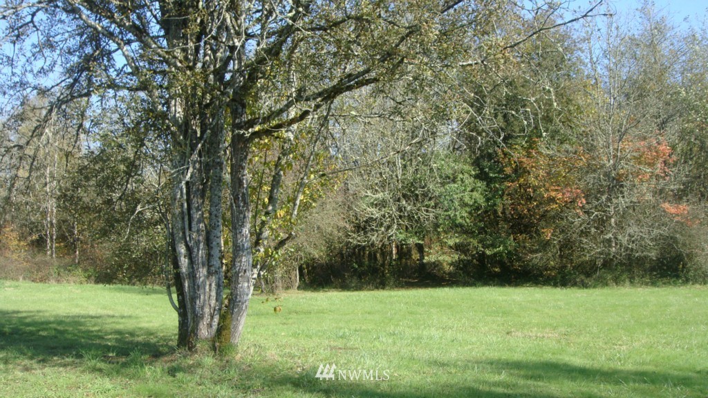 447 View Ridge Road Onalaska, WA 98570 - Photo 5 of 18 Gallery Image 5
