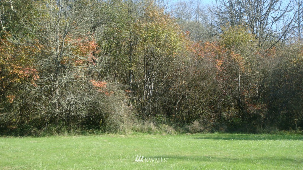 447 View Ridge Road Onalaska, WA 98570 - Photo 8 of 18 Gallery Image 8