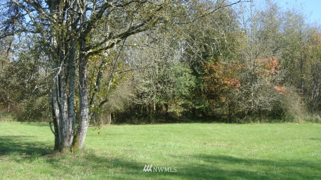 447 View Ridge Road Onalaska, WA 98570 - Photo 9 of 18 Gallery Image 9