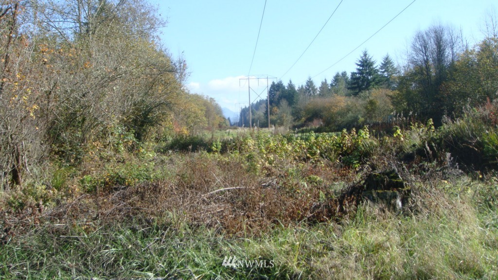 447 View Ridge Road Onalaska, WA 98570 - Photo 10 of 18 Gallery Image 10