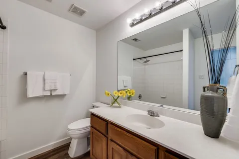 a bathroom with a sink a toilet and a mirror