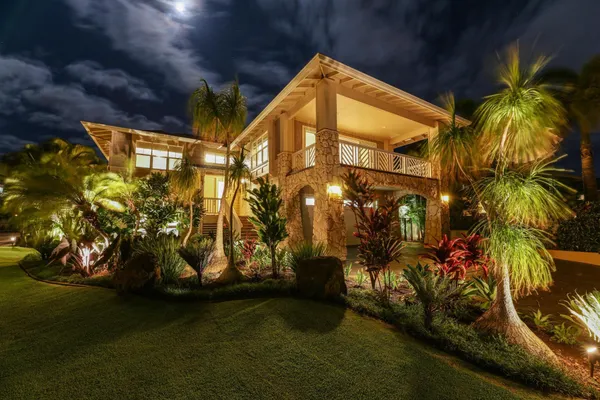 a view of a yard with plants
