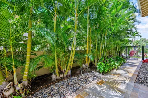 a backyard of a house with potted plants and large trees