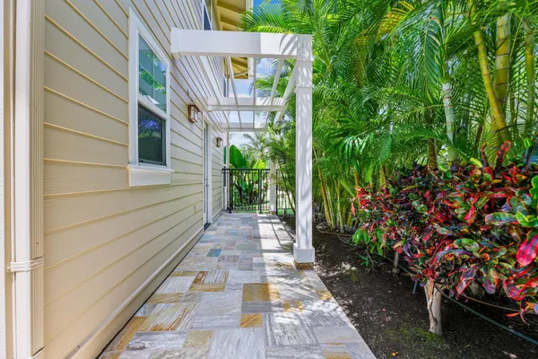 a view of a backyard with potted plants and large trees