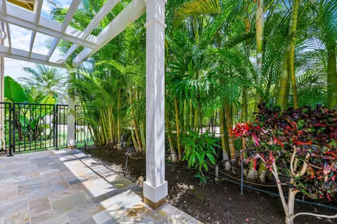 a view of a garden with a tree