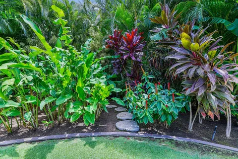 a view of a garden with a tree