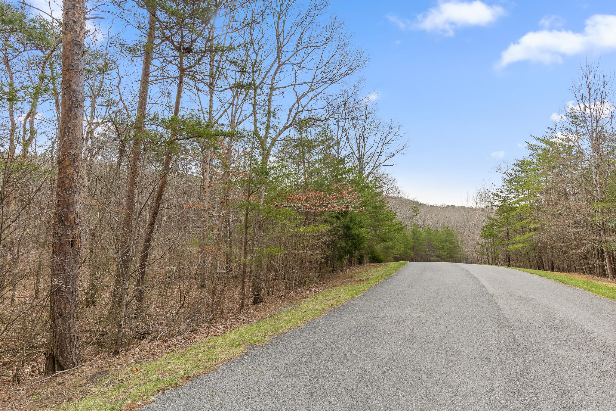 0 Stewart Lane, Unit 21 Rising Fawn, GA 30738 - Photo 3 of 10 Stewart-4