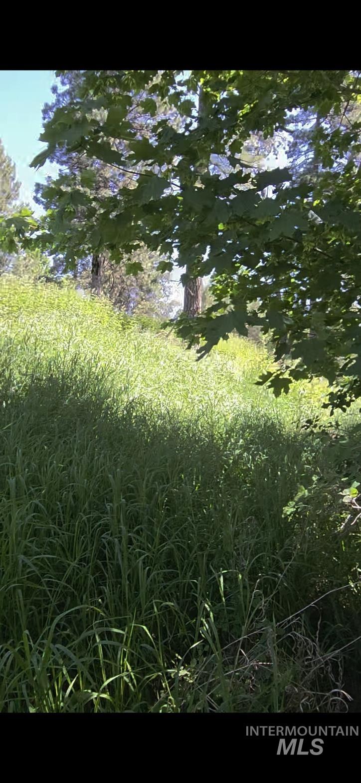 Four Four Mile Road Viola, ID 83872 - Photo 11 of 30