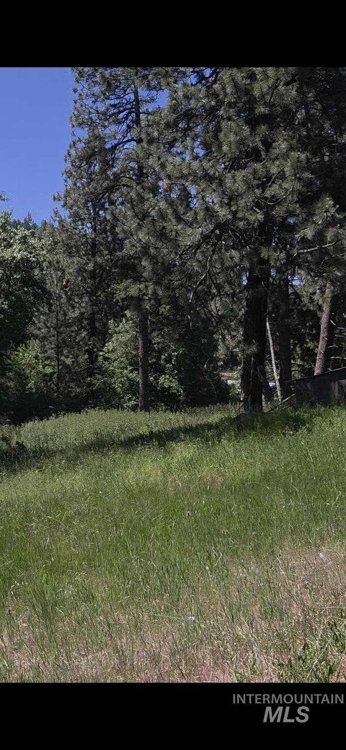 Four Four Mile Road Viola, ID 83872 - Photo 12 of 30