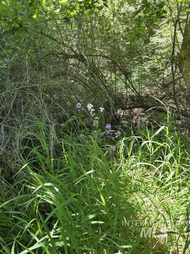 Four Four Mile Road Viola, ID 83872 - Photo 13 of 30