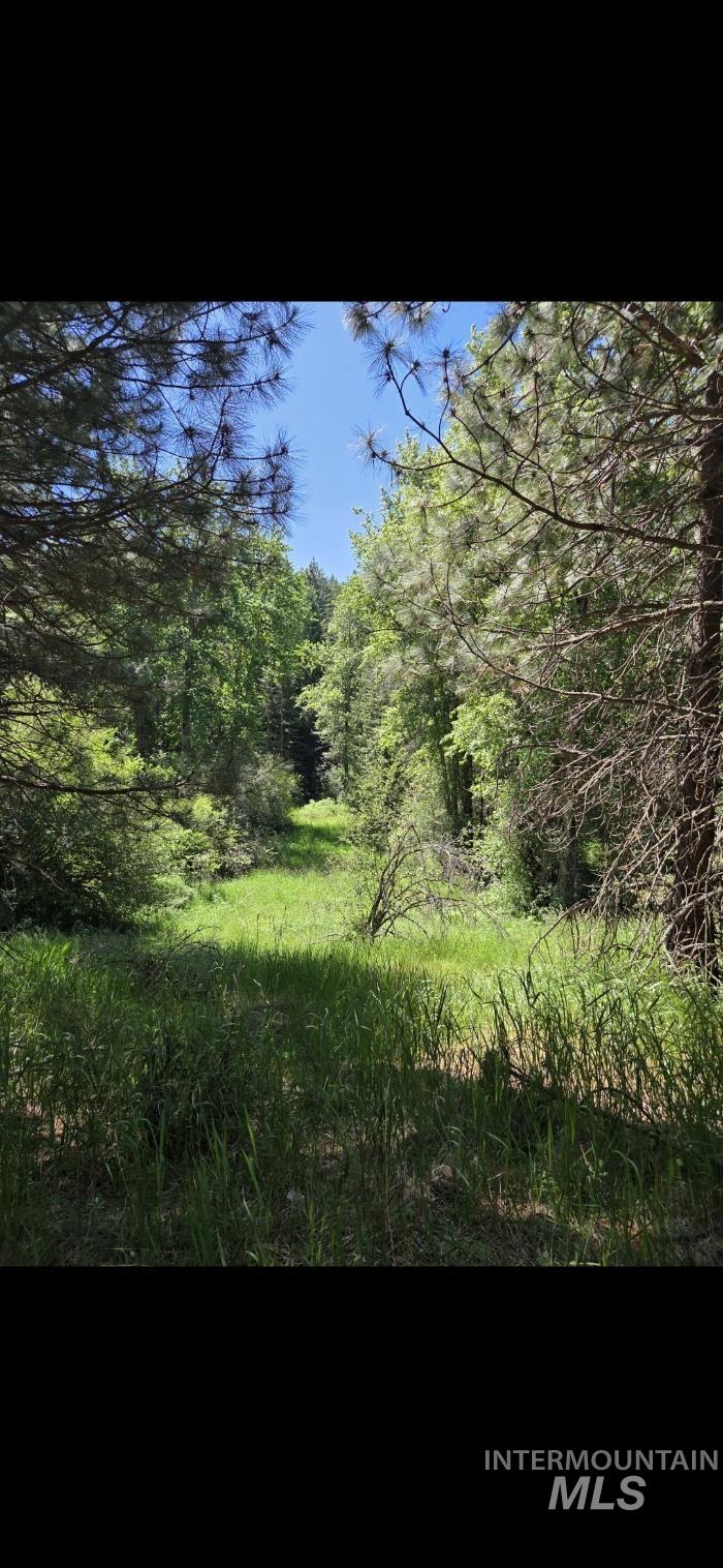 Four Four Mile Road Viola, ID 83872 - Photo 15 of 30