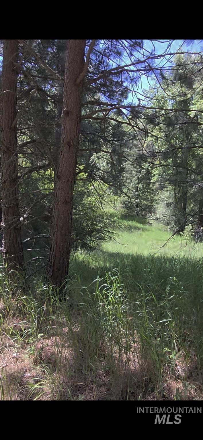 Four Four Mile Road Viola, ID 83872 - Photo 16 of 30