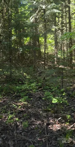 $375,000 | Four Four Mile Road, Viola, ID 83872