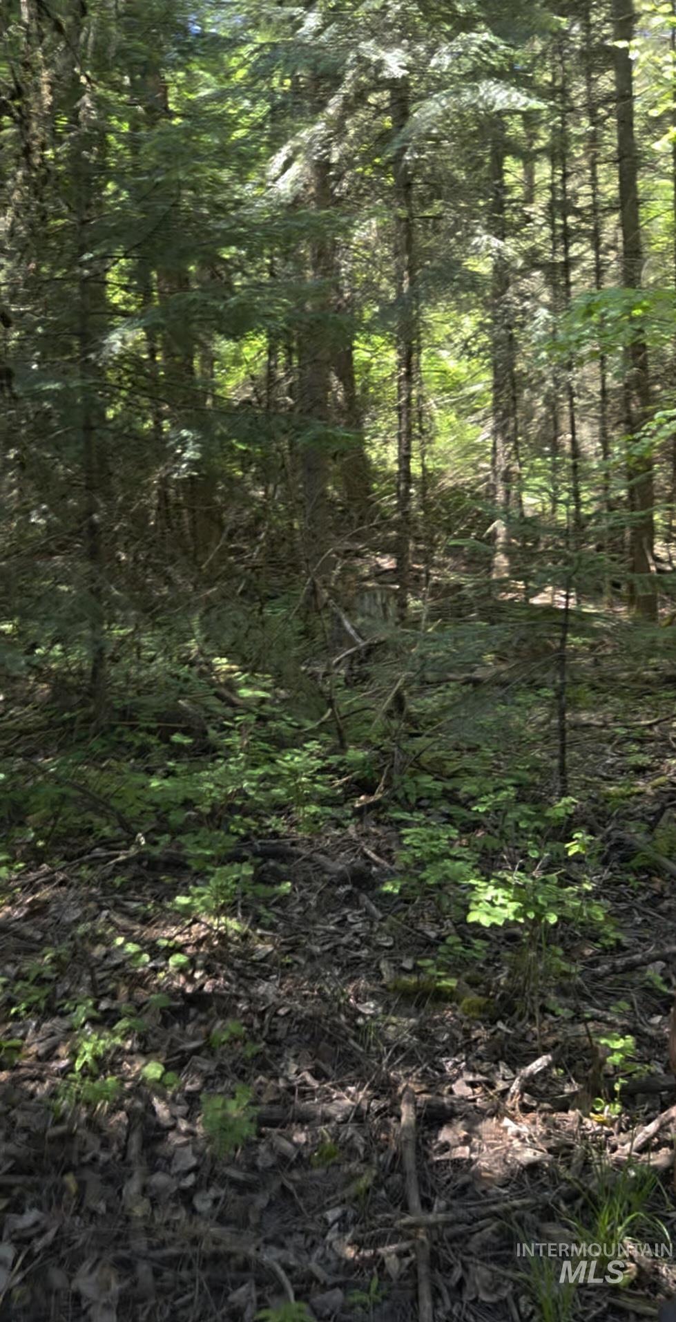 Four Four Mile Road Viola, ID 83872 - Photo 17 of 30