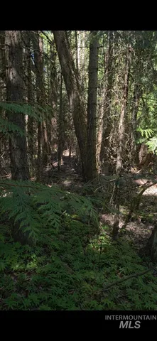 $375,000 | Four Four Mile Road, Viola, ID 83872