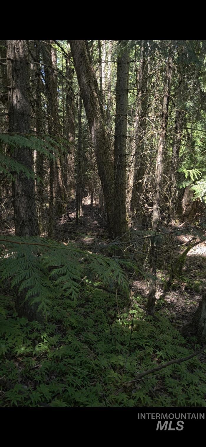 Four Four Mile Road Viola, ID 83872 - Photo 18 of 30