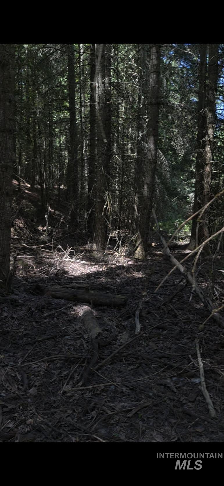 Four Four Mile Road Viola, ID 83872 - Photo 19 of 30