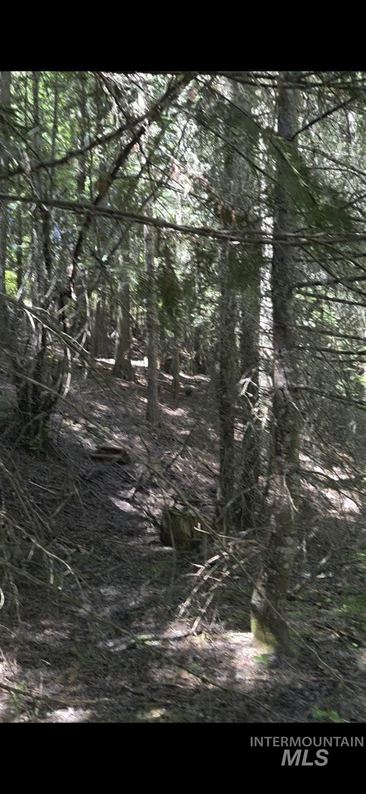 Four Four Mile Road Viola, ID 83872 - Photo 20 of 30