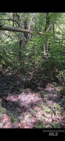 $375,000 | Four Four Mile Road, Viola, ID 83872