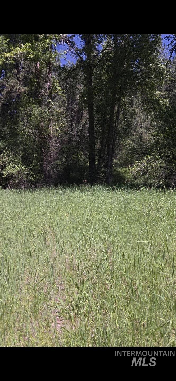 Four Four Mile Road Viola, ID 83872 - Photo 24 of 30