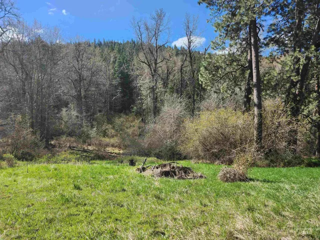 $375,000 | Four Four Mile Road, Viola, ID 83872