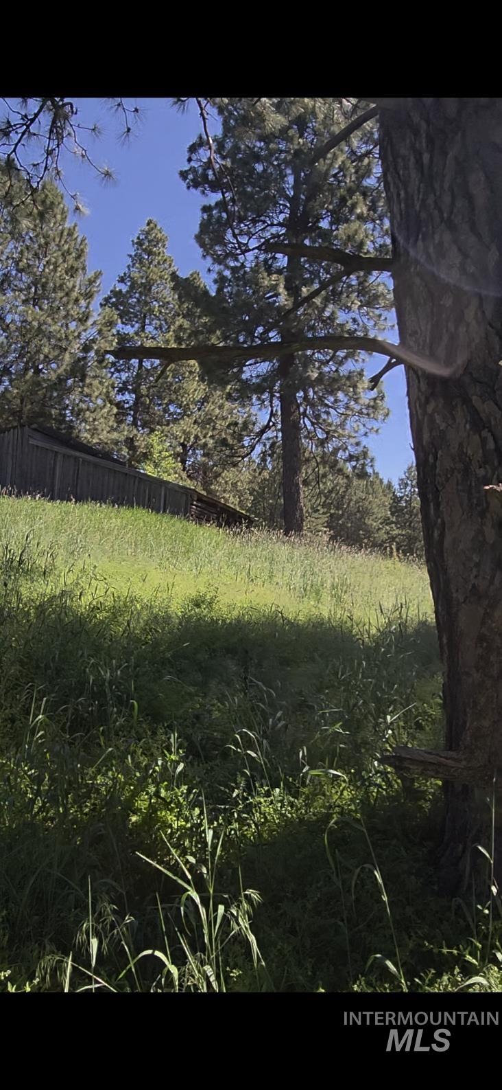 Four Four Mile Road Viola, ID 83872 - Photo 8 of 30