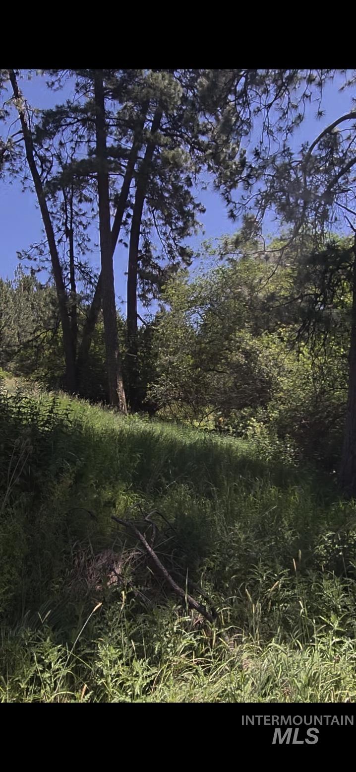 Four Four Mile Road Viola, ID 83872 - Photo 10 of 30